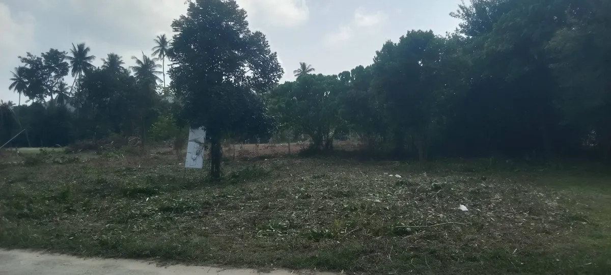 Land for Sale 400 sq.m. Plot/THB 4 Million Na Mueang