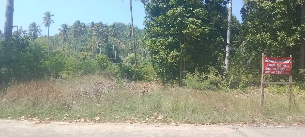 Land for rent 1200 sqm Taling ngam