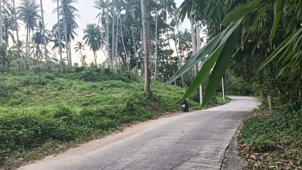 Land for rent 9600 sqm Na Mueang