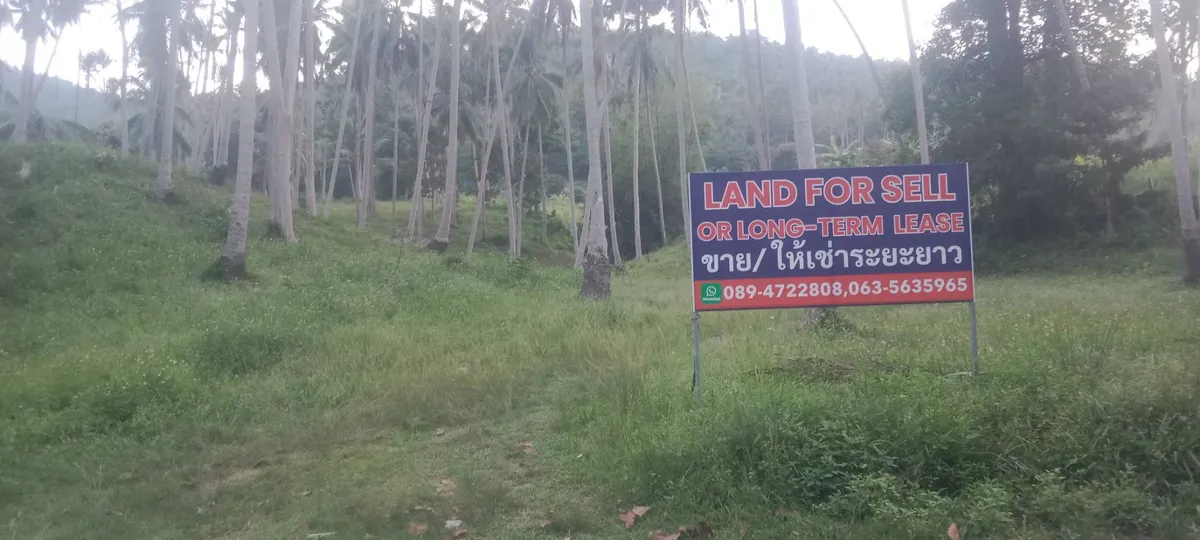 Sale Land 11120 sqm Na Mueang 4 million Baht / 1600 sqm