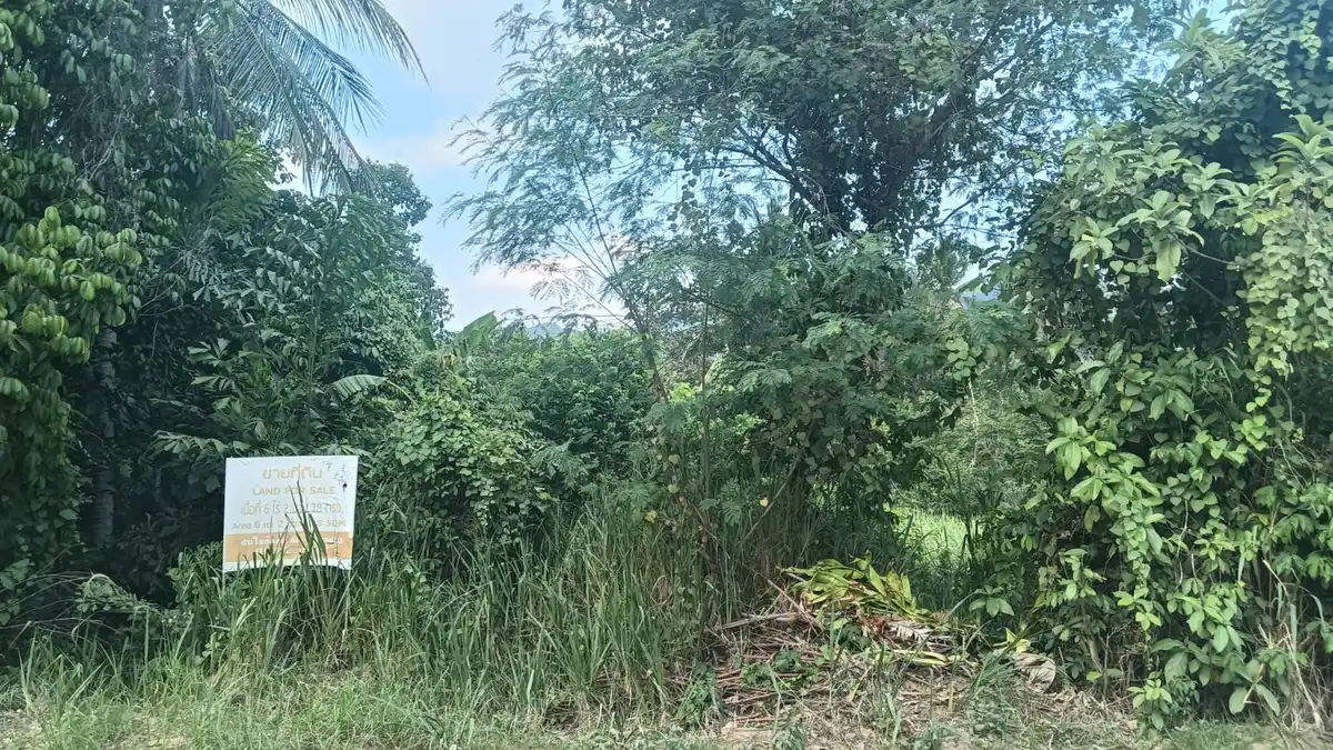 Sale Land 10712 sqm Lamai 8.5 million Baht / 1600 sqm