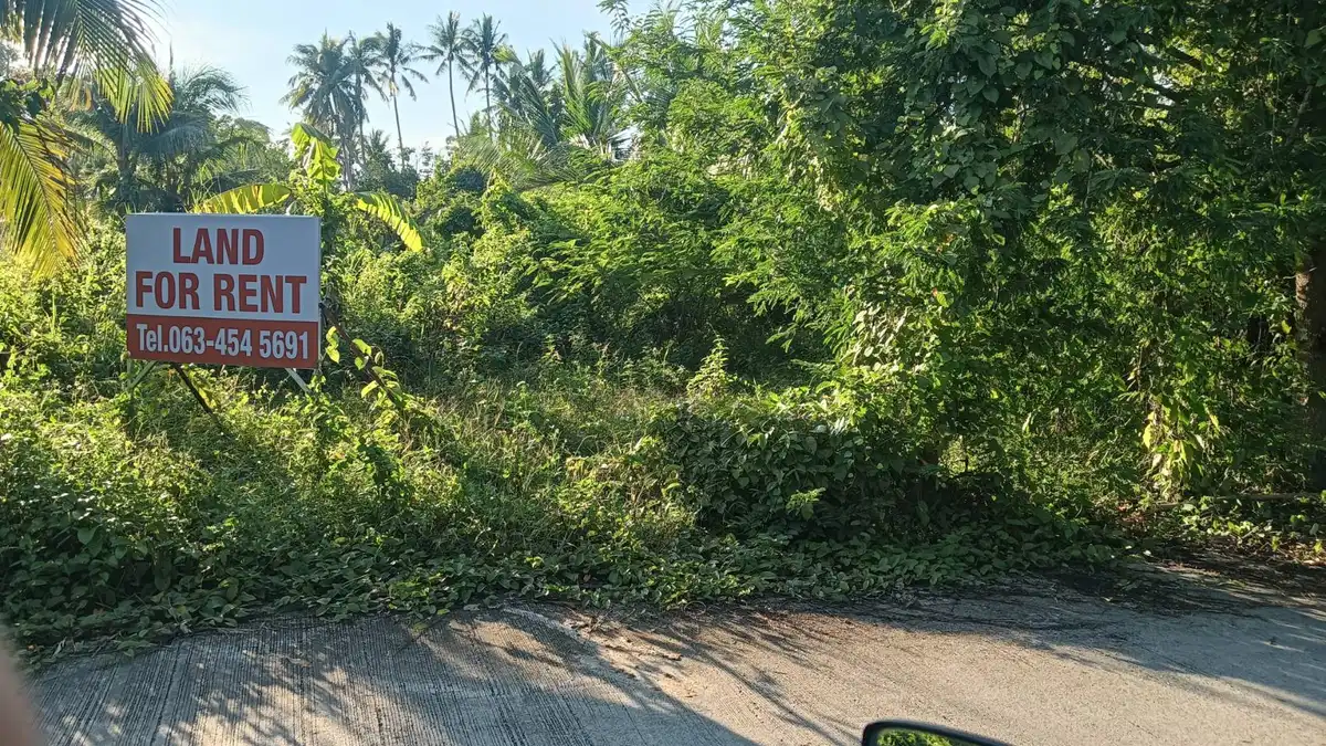 Land for rent 4800 sqm Na Mueang