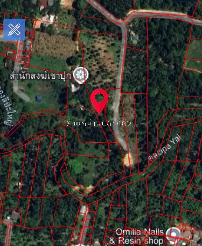 Garden Land for Sale with Durian & Longkong Trees β Koh Samui π₯₯